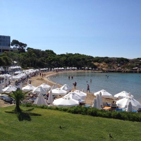 Queen Aphrodite Hotel Karpasa Exteriör bild
